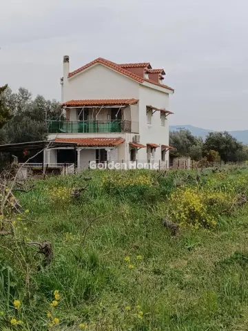 Μονοκατοικία 260τ.μ. προς πώληση φωτογραφία 5643497