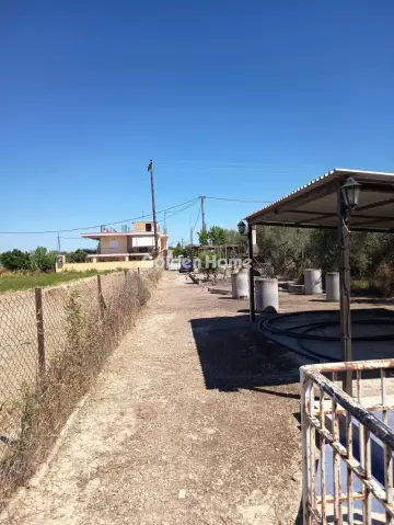 Μονοκατοικία 260τ.μ. προς πώληση φωτογραφία 5643499