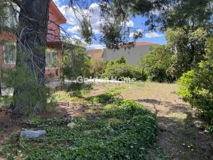 Μονοκατοικία 250τ.μ. προς πώληση φωτογραφία 45