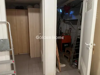 Μονοκατοικία 250τ.μ. προς πώληση φωτογραφία 44