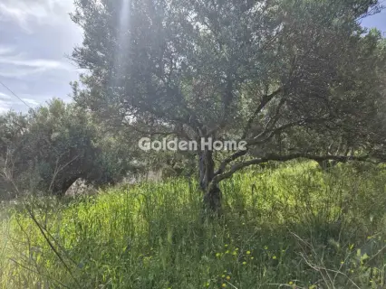 Οικιστικό 660τ.μ. προς πώληση φωτογραφία 1
