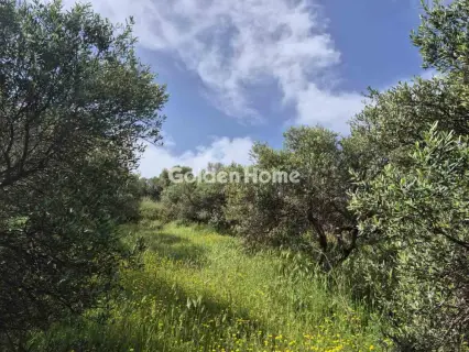 Οικιστικό 660τ.μ. προς πώληση φωτογραφία 2