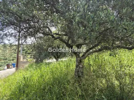 Οικιστικό 660τ.μ. προς πώληση φωτογραφία 4