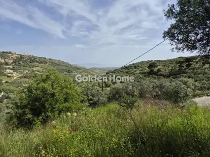 Οικιστικό 660τ.μ. προς πώληση φωτογραφία 5