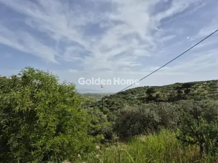 Οικιστικό 660τ.μ. προς πώληση φωτογραφία 6
