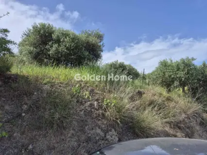 Οικιστικό 660τ.μ. προς πώληση φωτογραφία 12