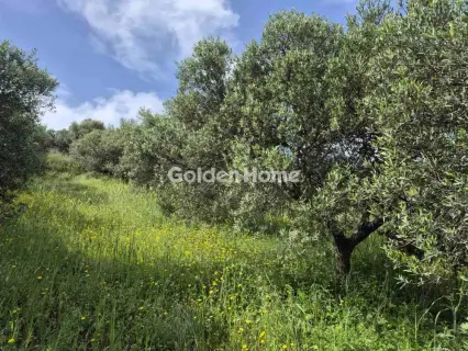 Οικιστικό 660τ.μ. προς πώληση φωτογραφία 10