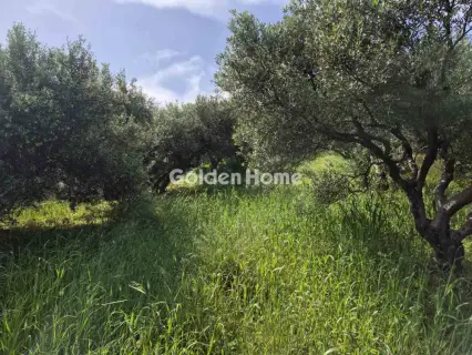 Οικιστικό 660τ.μ. προς πώληση φωτογραφία 8