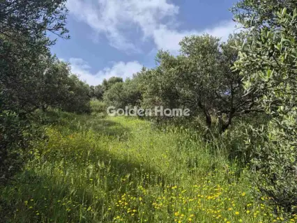 Οικιστικό 660τ.μ. προς πώληση φωτογραφία 7