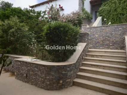 House 350m<sup>2</sup> for sale photo 5437864