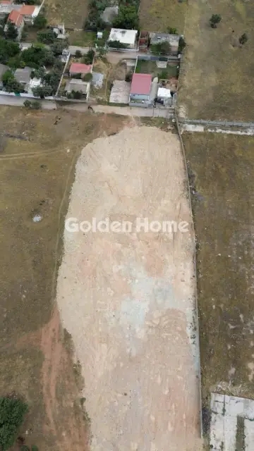 Professional Plot 5700m<sup>2</sup> for rent photo 5434070
