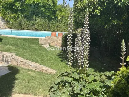 Μονοκατοικία 225τ.μ. προς πώληση φωτογραφία 4
