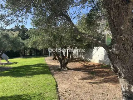 Μονοκατοικία 225τ.μ. προς πώληση φωτογραφία 62