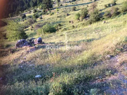 Parcel 4200m<sup>2</sup> for sale photo 5655455