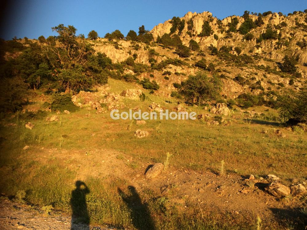 Αγροτεμάχιο στην Γκούρα, Φενεός — Φωτογραφία 3 από 3