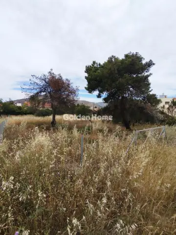 Οικιστικό 923τ.μ. προς πώληση φωτογραφία 5440779