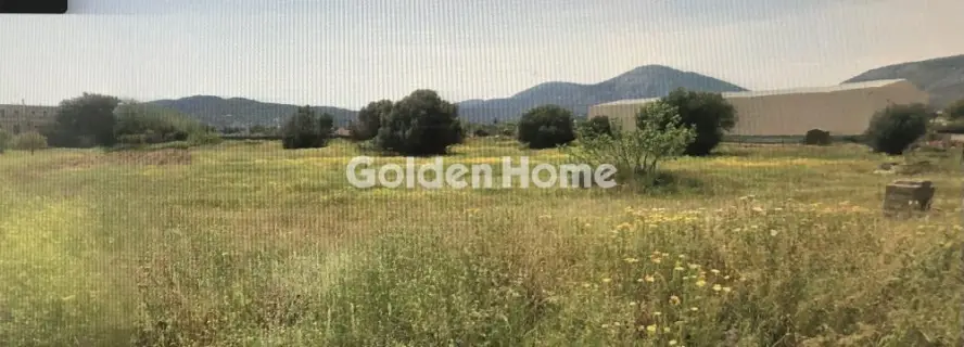 Professional Plot 5000m<sup>2</sup> for rent photo 5443669