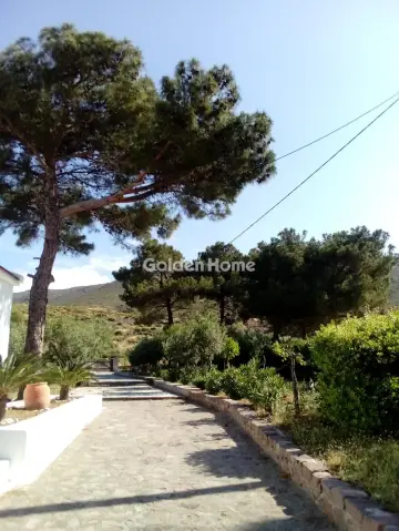 House 240m<sup>2</sup> for sale photo 15