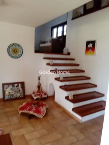 House 240m<sup>2</sup> for sale photo 5458057