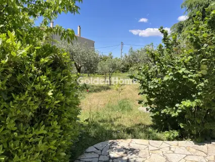 Οικιστικό 1000τ.μ. προς πώληση φωτογραφία 9