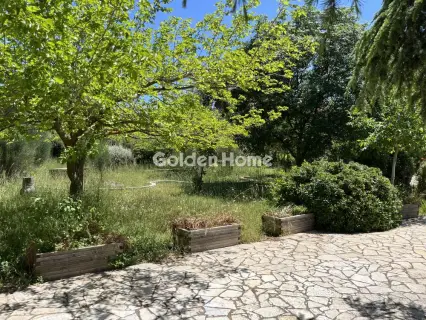 House 250m<sup>2</sup> for sale photo 5447311