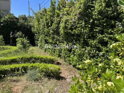 House 250m<sup>2</sup> for sale photo 5447312