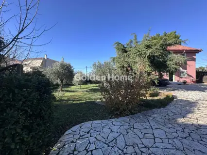Μονοκατοικία 250τ.μ. προς πώληση φωτογραφία 5447521