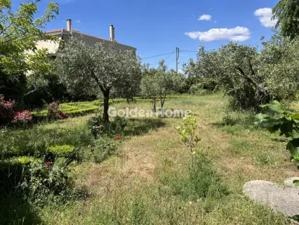 Μονοκατοικία 250τ.μ. προς πώληση φωτογραφία 5447528