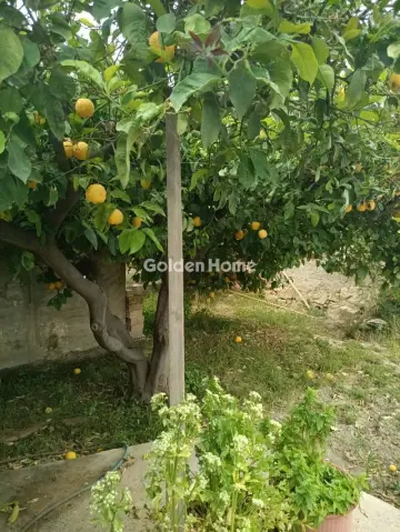 Μονοκατοικία 120τ.μ. προς πώληση φωτογραφία 2