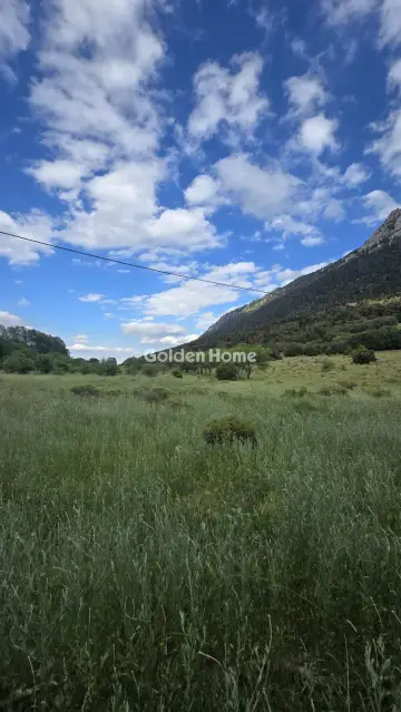 Residential 4000m<sup>2</sup> for sale photo 5492541