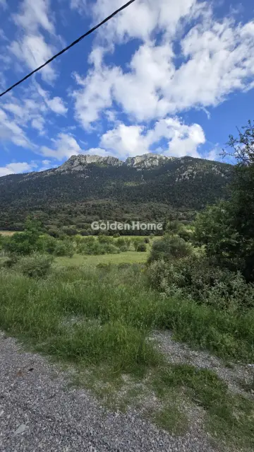 Residential 4000m<sup>2</sup> for sale photo 5492541
