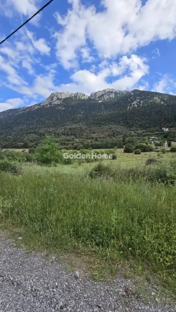Residential 4000m<sup>2</sup> for sale photo 5492542