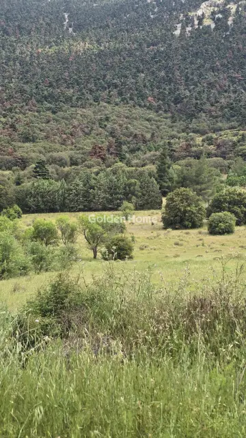Residential 4000m<sup>2</sup> for sale photo 5492542