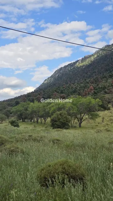 Residential 4000m<sup>2</sup> for sale photo 5492543