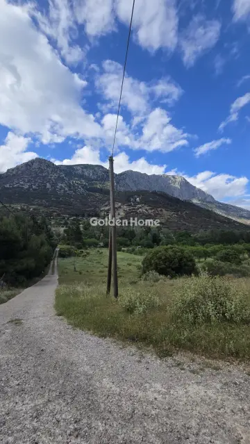 Residential 4000m<sup>2</sup> for sale photo 5492546