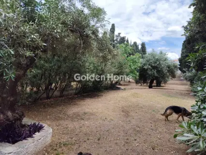 Μεζονέτα Ανεξάρτητη 440τ.μ. προς πώληση φωτογραφία 66