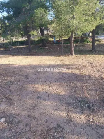 Οικιστικό 320τ.μ. προς πώληση φωτογραφία 4