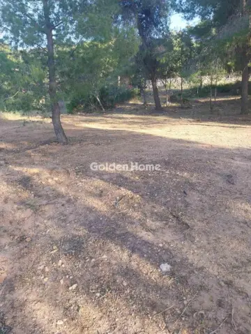 Οικιστικό 320τ.μ. προς πώληση φωτογραφία 5