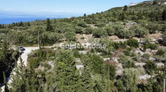 Professional Plot 3167m<sup>2</sup> for sale photo 5459461