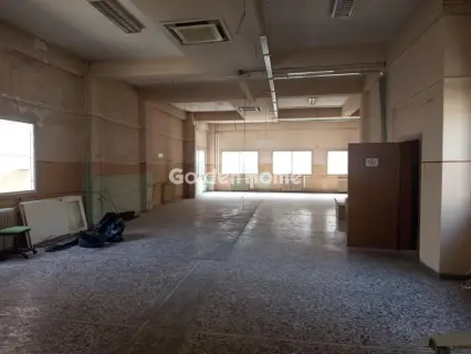 Αυτόνομο Κτίριο 613τ.μ. προς ενοικίαση φωτογραφία 5