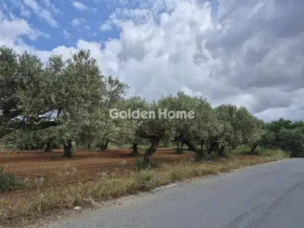 Professional Plot 860m<sup>2</sup> for sale photo 1