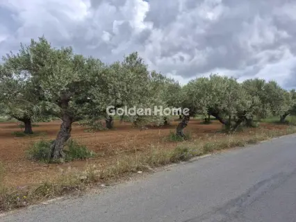Professional Plot 860m<sup>2</sup> for sale photo 2
