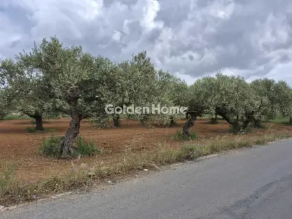 Professional Plot 860m<sup>2</sup> for sale photo 3