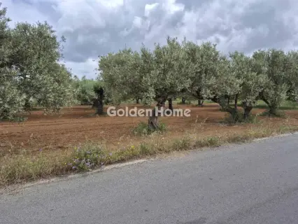 Professional Plot 860m<sup>2</sup> for sale photo 5
