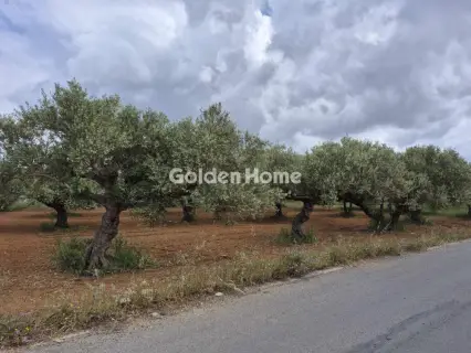Professional Plot 860m<sup>2</sup> for sale photo 11