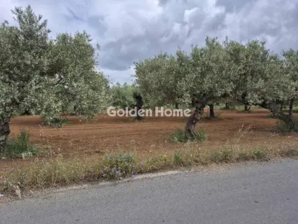 Professional Plot 860m<sup>2</sup> for sale photo 10