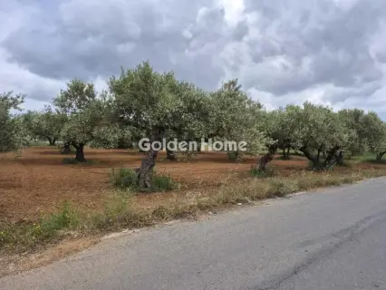 Professional Plot 860m<sup>2</sup> for sale photo 9