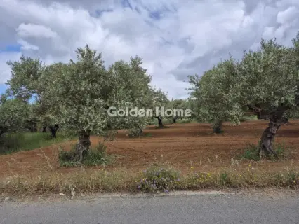 Professional Plot 860m<sup>2</sup> for sale photo 8