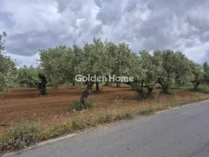Professional Plot 860m<sup>2</sup> for sale photo 7