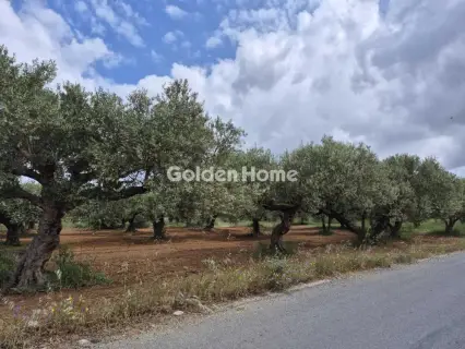 Professional Plot 860m<sup>2</sup> for sale photo 6